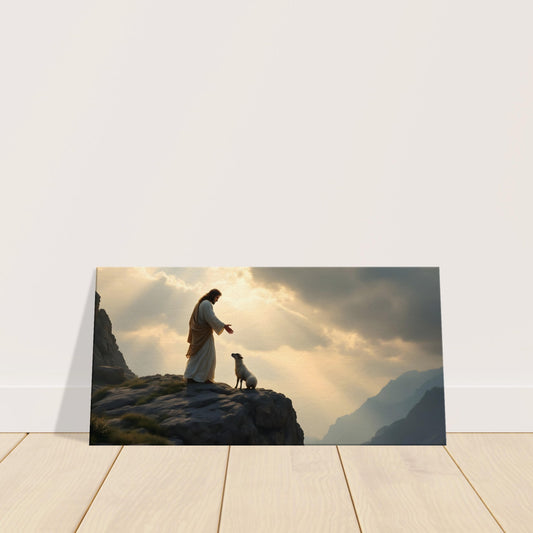 65909c2e-e28b-4a44-8966-59389b7aaf9a